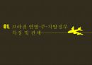 브라질 상파울루의 지방분권,상파울루 주의 지방분권,상파울루 주 정부의 문제점,브라질 연방·주·지방정부 구조 3페이지