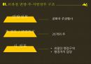 브라질 상파울루의 지방분권,상파울루 주의 지방분권,상파울루 주 정부의 문제점,브라질 연방·주·지방정부 구조 4페이지