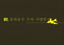 브라질 상파울루의 지방분권,상파울루 주의 지방분권,상파울루 주 정부의 문제점,브라질 연방·주·지방정부 구조 8페이지