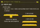 브라질 상파울루의 지방분권,상파울루 주의 지방분권,상파울루 주 정부의 문제점,브라질 연방·주·지방정부 구조 13페이지
