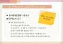 몬테소리의 교육이론,몬테소리의 유아,몬테소리의 생애 24페이지