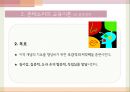 몬테소리의 교육이론,몬테소리의 유아,몬테소리의 생애 49페이지