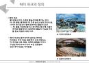 서비스기업의 성공사례,오션월드 vs 케리비안베이,국내 워터파크,브랜드마케팅,서비스마케팅,글로벌경영,사례분석,swot,stp,4p 5페이지
