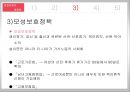 여성문제의 개념,여성문제의 이론,여성문제의 실태,여성문제 사례,여성빈곤 24페이지