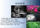 중독의 정의,인터넷 중독,약물 중독,도박 중독,운동 중독,성형 중독 8페이지
