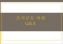 조직규모 정의,조직규모결정론,조직규모론 비판,조직구조와의 관계,다른 변수와의 관계,조직규모란 17페이지