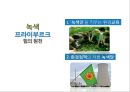 생태도시 프라이부르크,프라이부르크로의 원동력,생태도시,숲과 하천의 도시,친환경 교통체제 32페이지