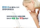 생태도시 프라이부르크,프라이부르크로의 원동력,생태도시,숲과 하천의 도시,친환경 교통체제 35페이지