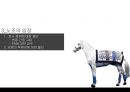 한국 공기업 노사관계,노사관계 현황,KRA 노사관계,공기업 현황,공기업 노사관계 16페이지