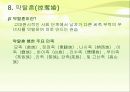 중국문화,소수민족의 결혼 풍습,소수민족의 특징,씨족외혼.아하혼제.일처다부제,일부다처제 28페이지