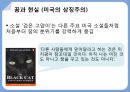 추리소설 장르,Poe 소설과 시의 특징,갈까마귀,애너벨 리,Poe 스타일(문체) 34페이지