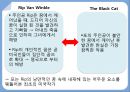 추리소설 장르,Poe 소설과 시의 특징,갈까마귀,애너벨 리,Poe 스타일(문체) 35페이지