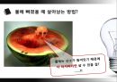 창의성의 개념,창의성 연구,창의성과 교육,창의성 검사,창의적 사고기법 5페이지