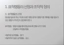 행동의 정의와 목표,표적행동의 선정,행동목표 세우기,표적행동의 우선순위,표적행동의 사회적 가치성 2페이지