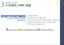 유로존의 성립,유로존의 재정위기,재정위기 대응책,유로존의 성립 최적통화지역,최적통화지역(OCA)과 유럽통화연맹(EMU) 19페이지