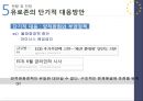 유로존의 성립,유로존의 재정위기,재정위기 대응책,유로존의 성립 최적통화지역,최적통화지역(OCA)과 유럽통화연맹(EMU) 40페이지