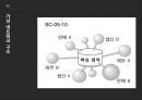 현대적 조직설계,보고체계의 조정,가상 네트워크,아웃소싱,조직구조론,가상 네트워크 구조,가상 네트워크 구조의 사례 5페이지