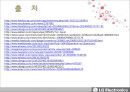 엘지전자 마케팅,엘지 해외시장,엘지전자 글로벌 브랜드,브랜드마케팅,서비스마케팅,글로벌경영,사례분석,swot,stp,4p 33페이지
