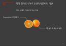지방자치단체 파산제도파산,모라토리움,지방자치단체 파산제도의 국내외 사례,파산제도 이슈,의료분쟁 조정 제도 17페이지