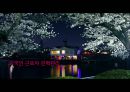 외국인근로자 인력관리,외국인 근로자 인력관리,외국인 근로자 고용관리,외국인 근로자 현황,외국인근로자 고용절차,외국인근로자 (고용관리),불법체류자 고용 금지 1페이지