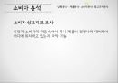 광고기획과정,광고규제 분석,광고 기본 전략,광고목표설정,제품수명주기,BCG매트릭스,FCB 그리드 모델,소비자 상표지표 조사 12페이지