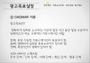 광고기획과정,광고규제 분석,광고 기본 전략,광고목표설정,제품수명주기,BCG매트릭스,FCB 그리드 모델,소비자 상표지표 조사 17페이지