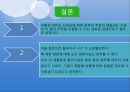 GDP 목표제에 대한 찬반론,GDP 목표제 도입,명목 GDP,경제 지표 신뢰 16페이지