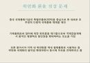 글로벌 금융위기,미국과 중국의 갈등,국제 공조,위안화 환율 절상,미국과 중국의 입장,미국과 중국, 공생의 필요성 11페이지