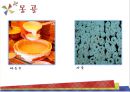 기후 특성에 따른 발효식품,열대 기후의 발효식품,건조 기후의 발효식품,온대 기후의 발효식품,냉대 기후의 발효식품,한대 기후의 발효식품 11페이지