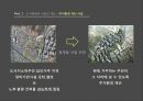 도시재정비사업,재개발, 재건축, 주거환경사업,도시재정비사업의 개선방향 6페이지