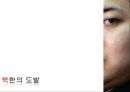 북한 도발사태와 역사적 의미,북한의 도발,북한 핵실험,개성공단 가동중단 3페이지