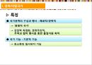 복지국가론,복지국가의 특징,복지국가의 성격,복지국가의 이념,국가의 개념 10페이지