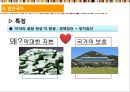 복지국가론,복지국가의 특징,복지국가의 성격,복지국가의 이념,국가의 개념 14페이지