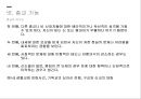 사회적 양태의 종교의 기능,종교의 정의,종교의 종류,종교 역사,종교의 기능,한국 종교의 역사 15페이지
