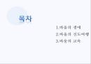 바울의 생애,바울의 전도여행,바울의 교육,디아스포라 유대인,유대교 교육,바리새파,가말리엘의 문하생 2페이지