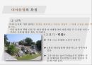 마야문명이란,마야문명의 태동,마야문명의 전개,마야문명의 특징,마야문명의 멸망 10페이지