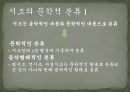 시조의 개념,시조의 명칭,시조의 연원과 형성,시조의 율격과 구조,시조의 문학적 분류,시조의 내용,시조의 특성 12페이지