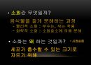 소화와 순환,영양소란,영양소의 분류,영양소를 분류하는 기준은,소화계의 구성과 소화과정,소화과정 5페이지