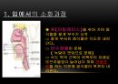 소화와 순환,영양소란,영양소의 분류,영양소를 분류하는 기준은,소화계의 구성과 소화과정,소화과정 11페이지