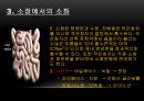 소화와 순환,영양소란,영양소의 분류,영양소를 분류하는 기준은,소화계의 구성과 소화과정,소화과정 15페이지