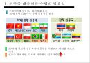 신흥국 부상의 배경,신흥국 대응전략,세계경제론,신흥국 대응전략의 사례 5페이지