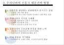 신흥국 부상의 배경,신흥국 대응전략,세계경제론,신흥국 대응전략의 사례 8페이지