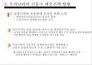 신흥국 부상의 배경,신흥국 대응전략,세계경제론,신흥국 대응전략의 사례 11페이지