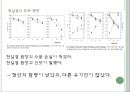 소금이란,천일염의 특징,천일염의 효과,소금의 종류 정제염, 천일염 10페이지