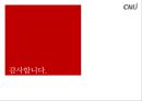 인터넷 방송의 전망,1인 미디어,인터넷방송의  개념과 특징,시장으로서의 인터넷 방송,인터넷방송의 문제점 14페이지