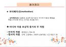 이용과 충족 이론,이용과 충족의 등장배경,엘리후 카츠,모티베이션,이용과 충족 이론의 장단점,이용과 충족 이론의 비판 12페이지