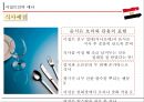 이집트 기본정보,이집트인의 특찮 의사소통,이집트의 생활양식,이집트의 매너 22페이지