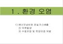 음식물 쓰레기 줄이기,음식물 쓰레기의 심각성,음식물 쓰레기의 문제점,음식물 쓰레기 환경 오염,수질오염 유발 10페이지