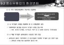 유통의 의의와 중소유통업,중소유통업의환경변화,중소유통업과 소상공인,중소유통업의경쟁력 강화방안 10페이지