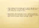 운동에서 비타민의 기능,비타민 결핍 증상,비타민 기능,항산화제,철분흡수율 촉진,비타민 C 결핍증상,비타민 E 기능,항산화제 기여 3페이지